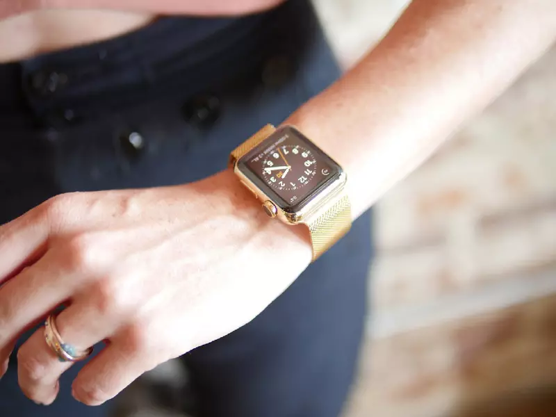 米兰手链（47张照片）：阳光下的Apple Watch手表的网格型号，如何缩短，评论 3550_35