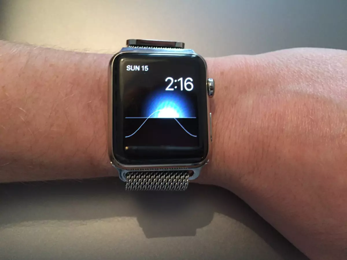 米兰手链（47张照片）：阳光下的Apple Watch手表的网格型号，如何缩短，评论 3550_41