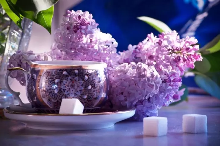 Lilac রঙের মনোবিজ্ঞান: একটি মহিলার জন্য এর অর্থ। কি একটি ব্যক্তির জন্য একটি lilac ছায়া প্রতীক এবং তার বৈশিষ্ট্য কি? 3580_2