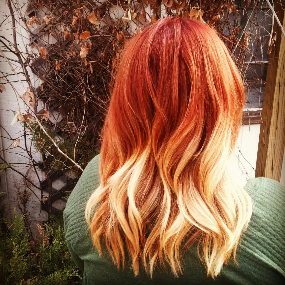 Warna apa yang cocok untuk rambut merah? 66 foto nuansa apa yang pergi ke gadis berambut merah dengan Karium dan Green? Kombinasi warna yang cocok dalam pakaian 3591_60