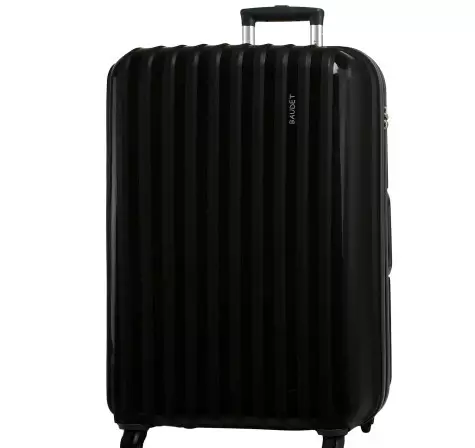 Baudet (61 Fotoğraf): Bavullar, Tekerleklerde Alışveriş Çantaları ve Plastik Modeller Seyahat, Kalite 3800_25