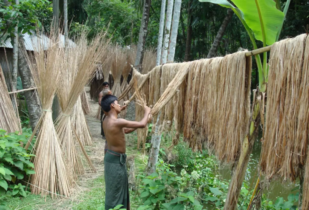 Jute (40 şəkil): Bu material nədir? Nə edir? Parça və kətan, lif və grid dekorasiya, məhsul variantlarının istehsalı 3930_9