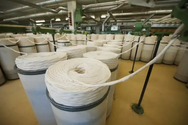 Baumwolle (45 Fotos): Eigenschaften von dichtem Baumwollstoff, dünnglühenden 100% Baumwolle, Materialarten und seine Unterschiede von Flachs. Was wäre, wenn Baumwolle nach dem Waschen sitzt? 3975_7