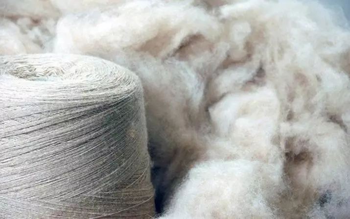 Kašmir (37 fotografija): Šta je ta tkanina i šta je to? Koja odjeća radi od kašmira i šta se razlikuje od vune? Recenzije 4040_4