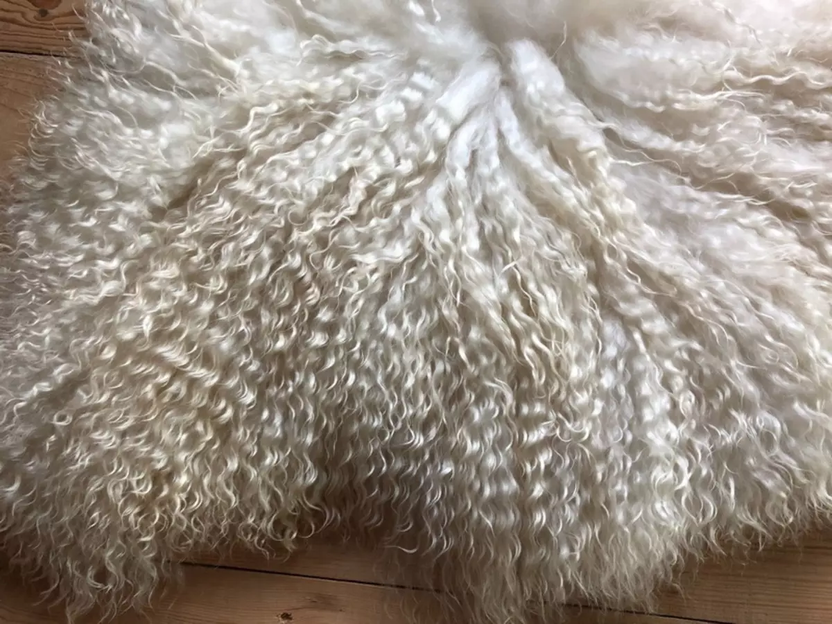 Angora-stof (32 foto's): Wat is it? Beskriuwing en komposysje fan angora-sêfte stof, melange en knitwear. Wat sjogge kostúms en jurken fan sa'n materiaal derút? Resinsjes fan beoordelingen 4049_7