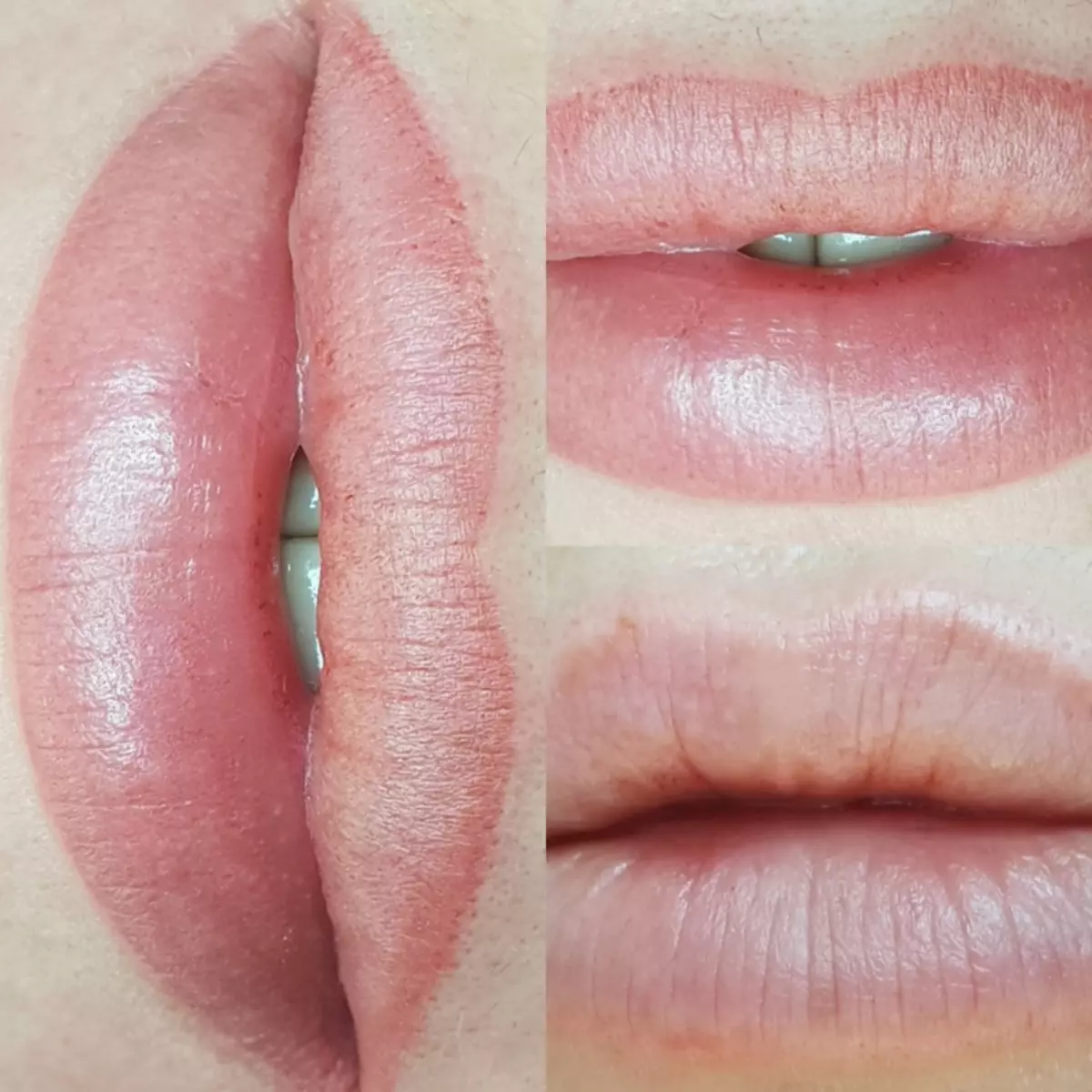 Akvarell Lips Tattoo: Beskrivelse av permanent sminke i akvarelleteknikk, naturlig sminke. Helbredelse etter permanent. Hvor mye holder tatoveringen? 4140_28