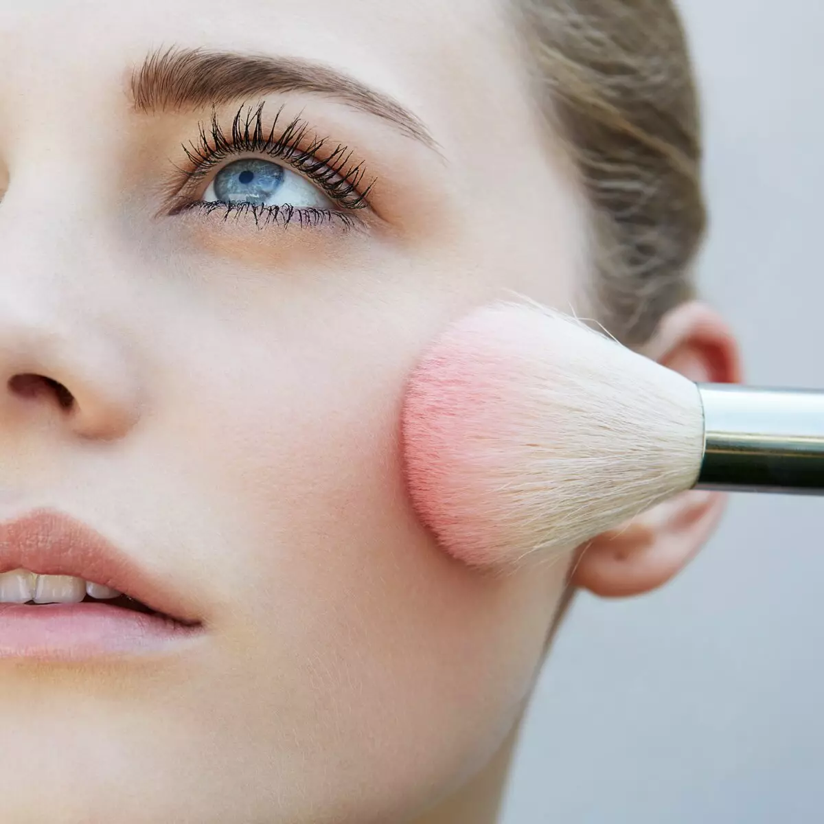 Cepillos naturales para maquillaje: ¿Qué mejor: de una pila natural o de sintética? ¿Cómo lavar los pinceles? ¿Qué son? 4165_3