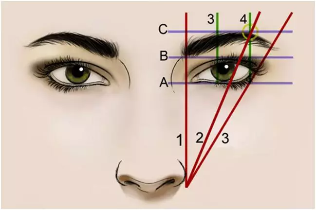 眉毛タトゥー（33枚の写真）：それがどのようなもので、どのようにして、眉の美しい形式を作ることのテクニック、レビューのレビュー 4276_22
