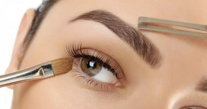 Extension des sourcils (33 photos): Comment augmenter à la maison et combien se tient-ils, des critiques 4287_14