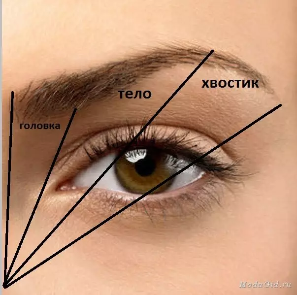 Gyönyörű szemöldök (126 fotók): Hogyan készítsünk lépésről lépésre otthon Ideális Jobb egyenes hozza 4306_13