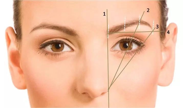 How to pinpose your eyebrows? 80 photos How to pull out without pain at home step by step, beautiful examples 4307_42