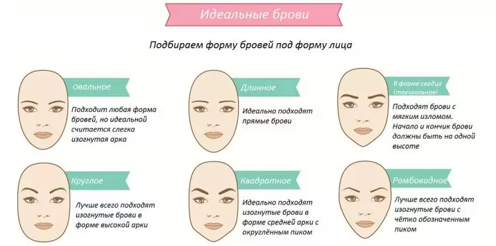 How to pinpose your eyebrows? 80 photos How to pull out without pain at home step by step, beautiful examples 4307_6