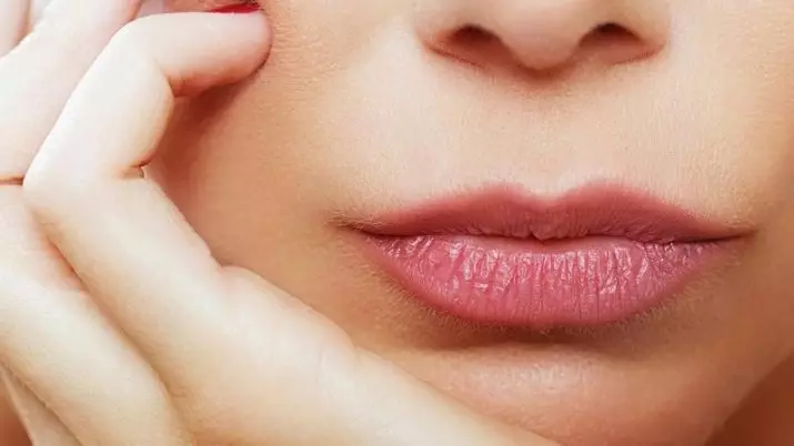 Huulekosmeetika: dekoratiivse kosmeetika tüübid. Mis on toon? Kuidas suurendada või vähendada huuled kosmeetikatoodete? 4380_4