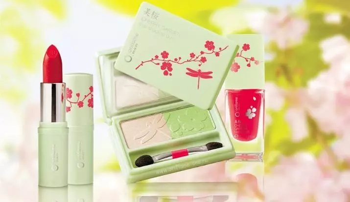 Cosméticos japoneses: mejores marcas de cosméticos de Japón. Rosette, Kose y otros cosméticos profesionales. Revisiones de Cosmetólogos 4498_17