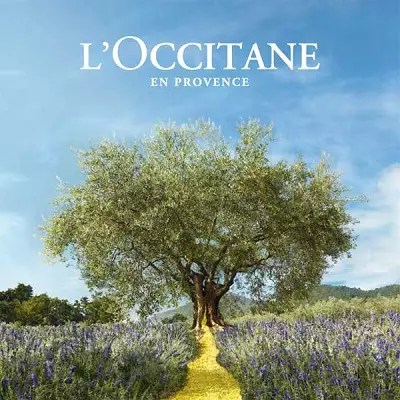 ເຄື່ອງສໍາອາງ L'Occitane: ຄໍາອະທິບາຍຂອງຜະລິດຕະພັນເຄື່ອງສໍາອາງທໍາມະຊາດໄດ້. ການທົບທວນຄືນຂອງລູກຄ້າແລະ commetologists ການທົບທວນຄືນ 4621_5