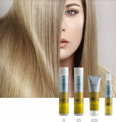 Rambut Kosmetik Lakme: Ciri-ciri Kosmetik Profesional, Pilihan dan Ulasan 4695_6