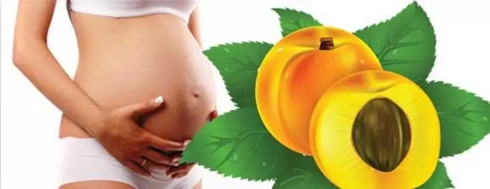 Smør fra strækmærker under graviditet: Hvordan man bruger gravid æterisk olie mod cellulite? Anmeldelser 4803_10