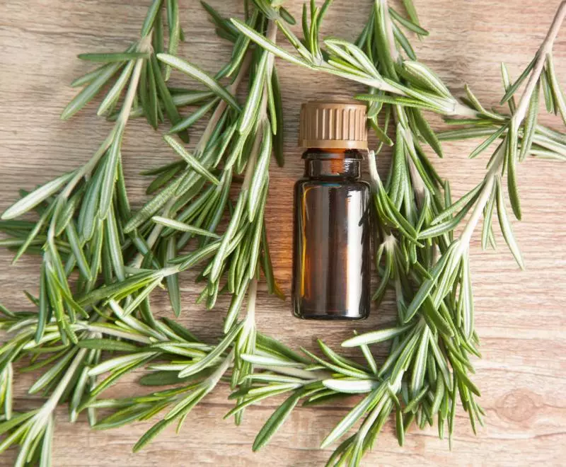 Oil from wrinkles: What kind of cosmetic essential oils help with wrinkles on the skin of the face and in the area around the eyes? 4831_17