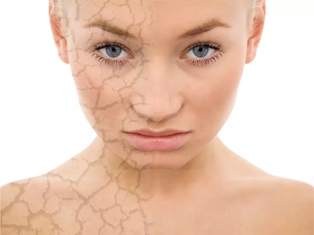 Aceite de arrugas: ¿Qué tipo de aceites esenciales cosméticos ayudan con las arrugas en la piel de la cara y en el área alrededor de los ojos? 4831_6