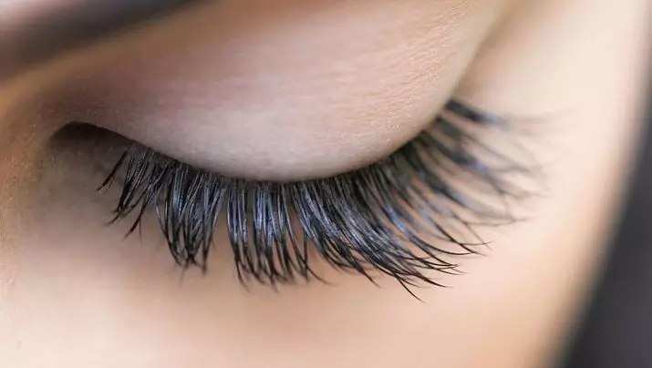 Castor Eyelary Oil (23 Fotos): Methoden zur Verwendung von Wimpern und Augenbrauen. Wie kann man sich bewerben und wie viel bleibt? Rezensionen 4835_2