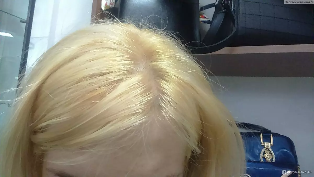 Arctic blonde (31 photos): Caractéristiques de la couleur des cheveux blonds Arctique. Comment atteindre un tel effet? 5158_8