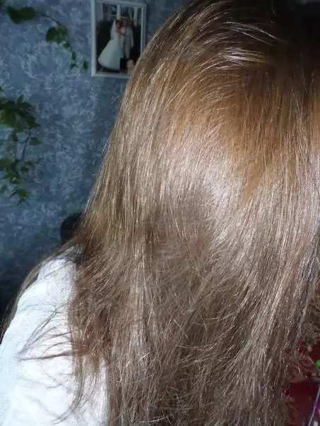 Hair Blond Dark (87 Foto): Brown Shades Palette untuk anak perempuan. Siapa yang menjadi pewarnaan seperti itu? 5160_48