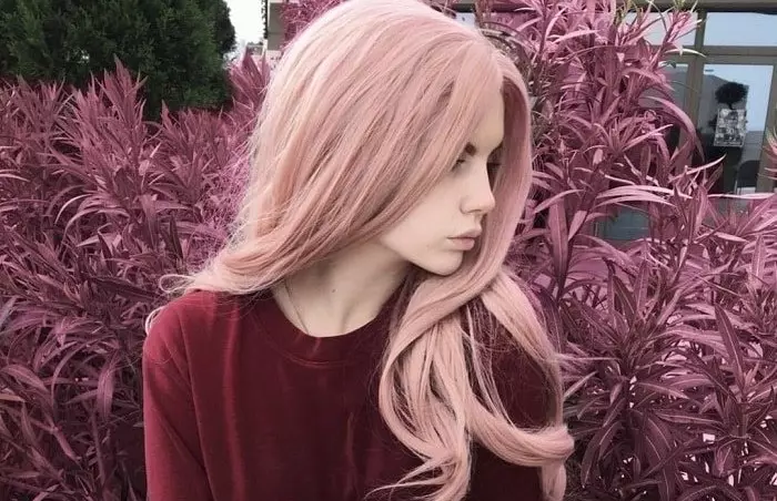 Warna rambut abu-merah jambu (58 foto): berambut perang dan lain-lain warna abu dengan peluh merah jambu. Bagaimana untuk mendapatkan warna pada rambut pendek dan panjang? 5180_12