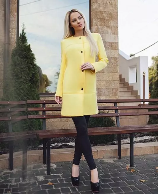 Coat Neoprene (76 φωτογραφίες): Συλλογές μόδας των σχεδιαστών, σχόλια 518_71