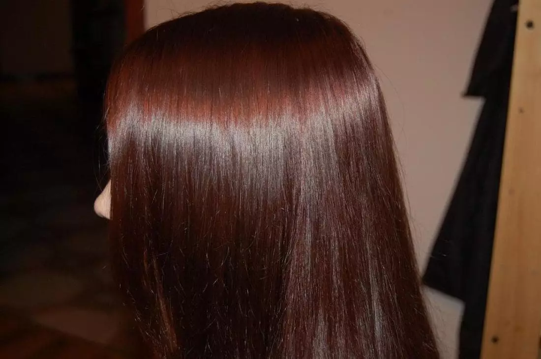 Comment peindre les cheveux d'oignon de cheveux? 18 Photo correcte de cheveux gris, foncé et léger à la maison 5245_2
