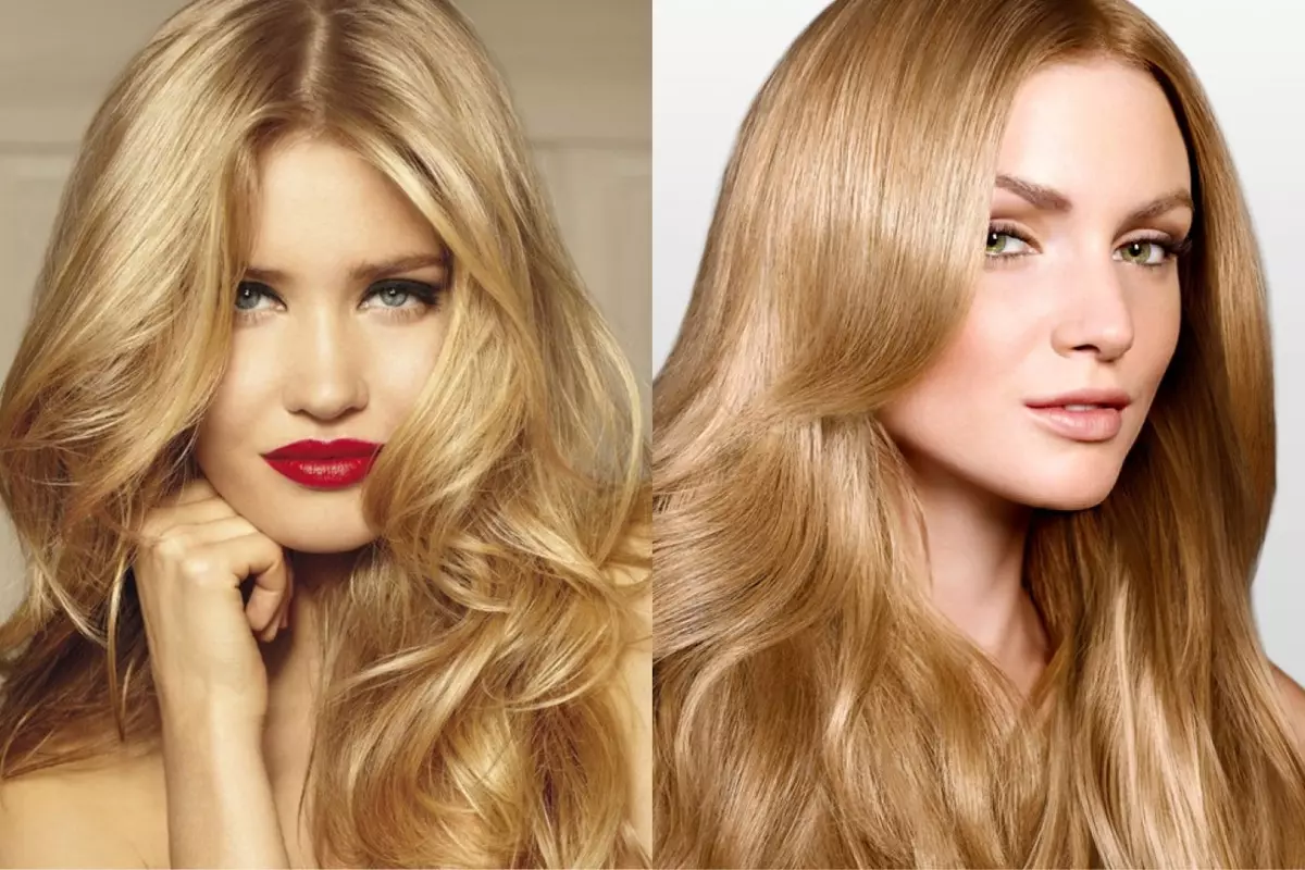 Sandless hair (49 photos): Who is a golden-beige shade? Features of cold dark and light sand tones 5266_15