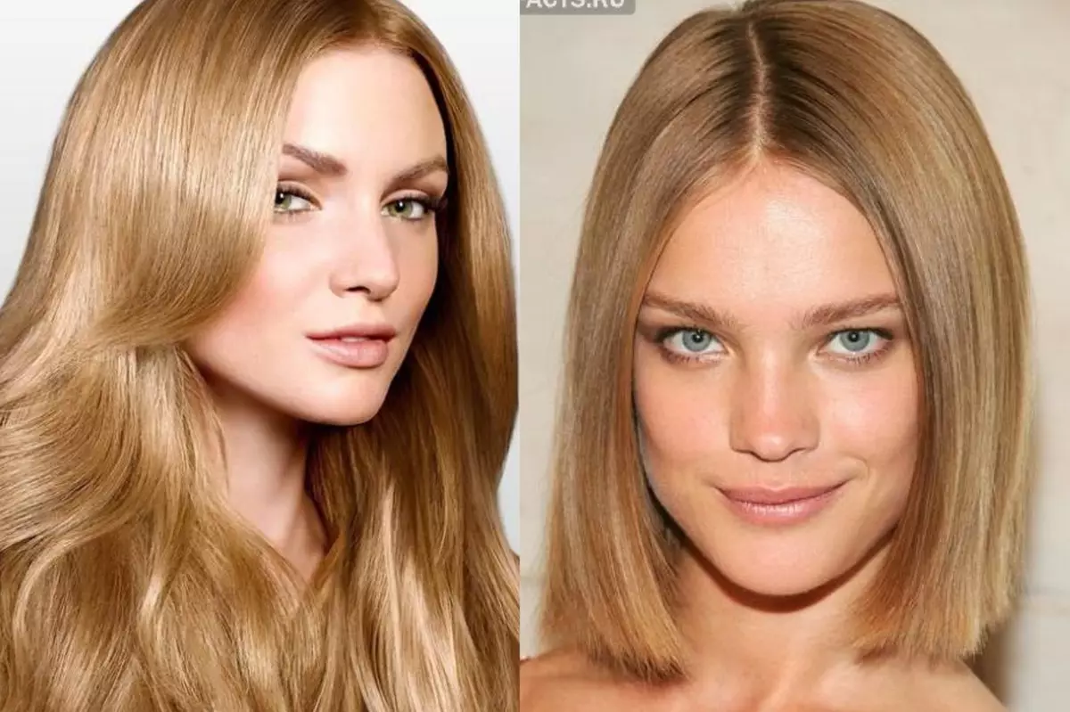 Sandless hair (49 photos): Who is a golden-beige shade? Features of cold dark and light sand tones 5266_22