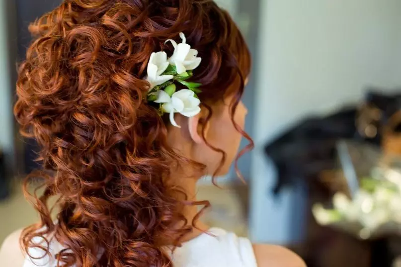 Kevyt punapää hiusten väri (55 valokuvaa): punertavan sävyt, joissa russes, on Tump ja muut vaihtoehdot. Kuinka saada oikea sävy ja kenelle se sopii? 5272_13
