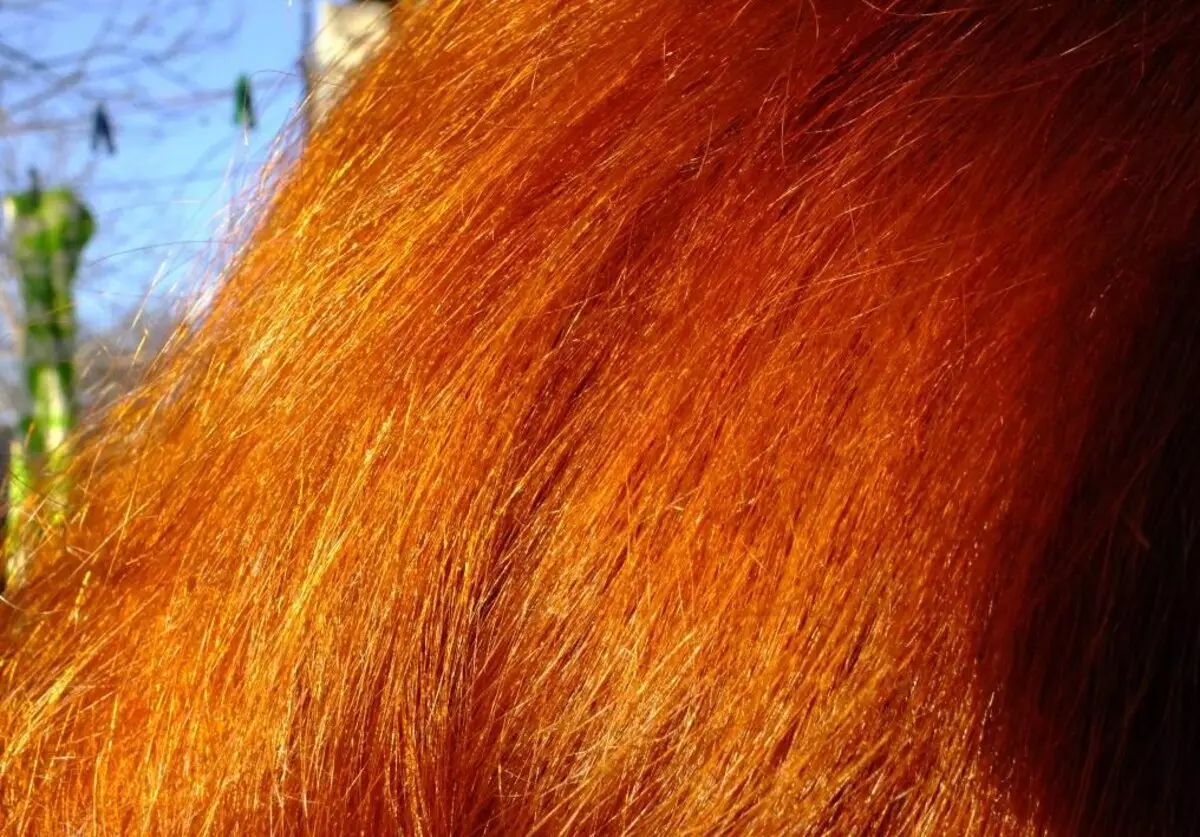 Leichte Rothaarige Haarfarbe (55 Fotos): Rötliche Farbtöne mit Russen mit einem Tumpfen und anderen Optionen. Wie bekomme ich den richtigen Ton und an wen passt es? 5272_46