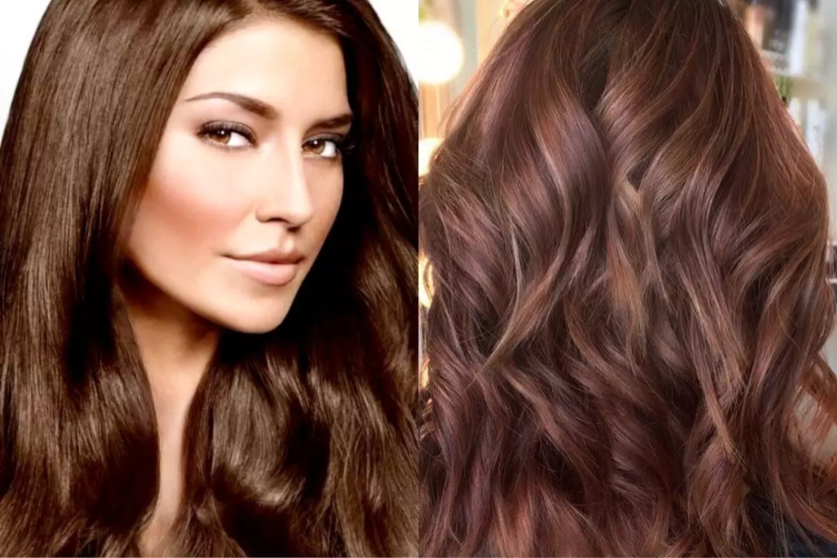 Dark şabalıd hair color (79 şəkil): Lokons boyanma sonra kimi nə görünür? çalarları növləri. Kim ton uyğun? 5286_5