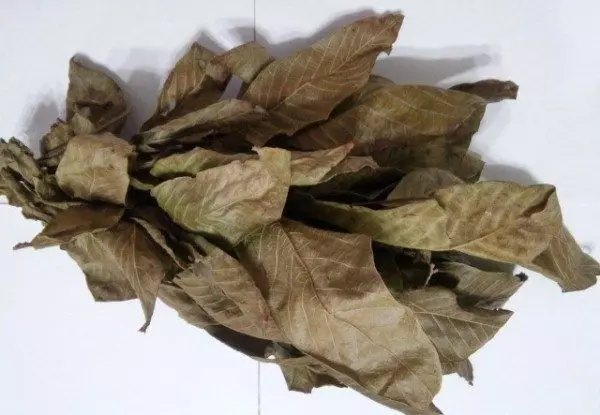 Bvudzi ruvara frosty chestnut (34 photos): ndeupi wevasikana vanozokodzera mumvuri uyu? Maitiro Ekuwana Ruvara rusina kujairika? 5289_32