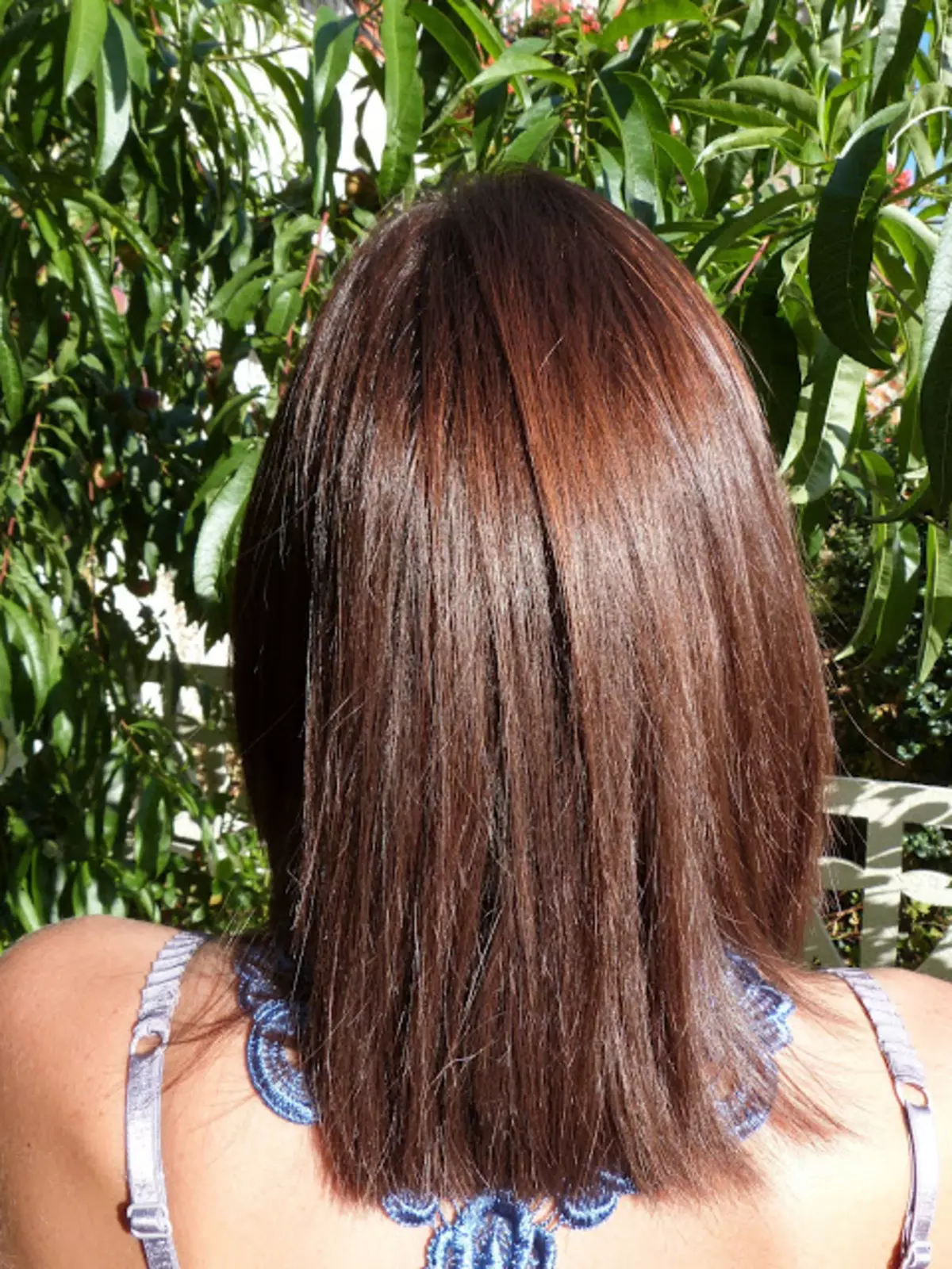Color del cabell Castanya gelada (34 fotos): Quina de les noies s'adaptarà a aquesta ombra? Com aconseguir un color inusual? 5289_9