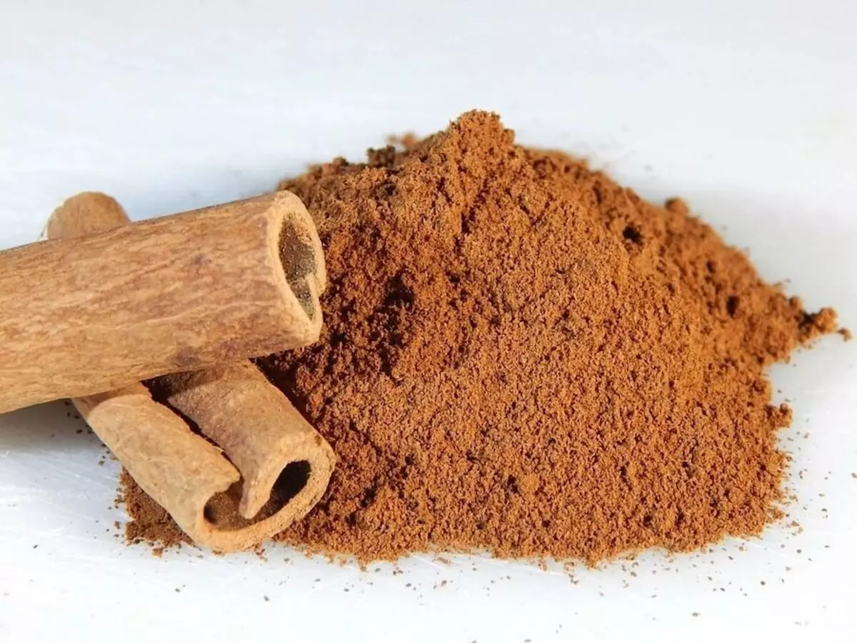 Cinnamon ରଙ୍ଗ କେଶ (45 ଫଟୋ): ଅନ୍ଧକାର, Spicy, ଉଷ୍ମ ଏବଂ ଅନ୍ୟାନ୍ୟ ଡାଳଚିନି ରଙ୍ଗ ଛାୟାଗୁଡିକ। ସେ କିଏ ଯାଉଛନ୍ତି? 5325_11