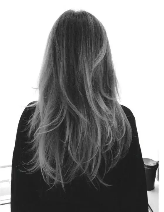 رنگ موی خاکستر خاکستری (29 عکس): چگونه موهای خود را در سایه خاکستر با ریشه های سیاه رنگ کنید؟ مراقبت بعد از رنگ آمیزی 5340_4