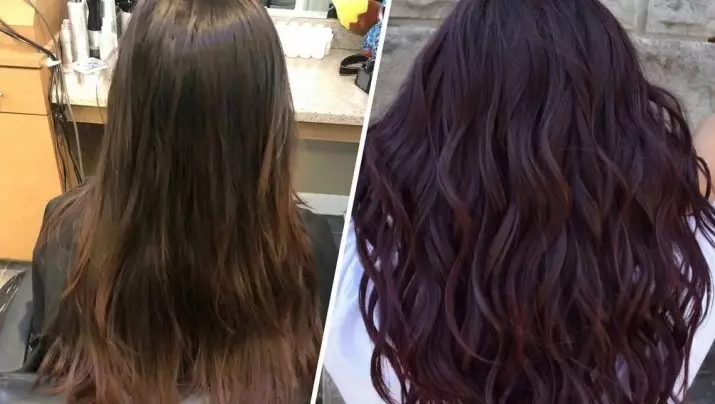 Qual è la differenza tra brune da Brown? 47 Photo Differenze nel carattere, differenza tra i colori dei capelli. Come determinare il colore? 5341_5