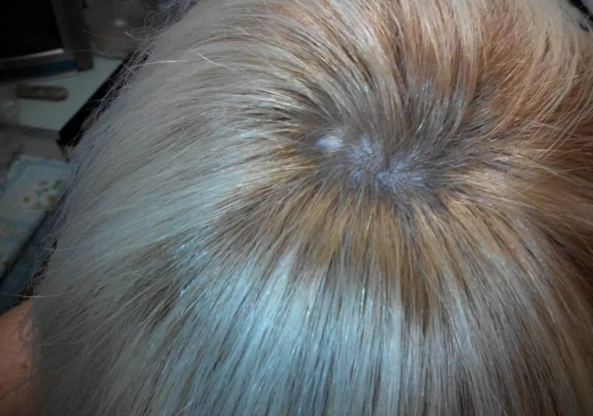 鼠标颜色头发（44张照片）：谁在灰鼠下进行天然阴影？重新粉刷 5342_36