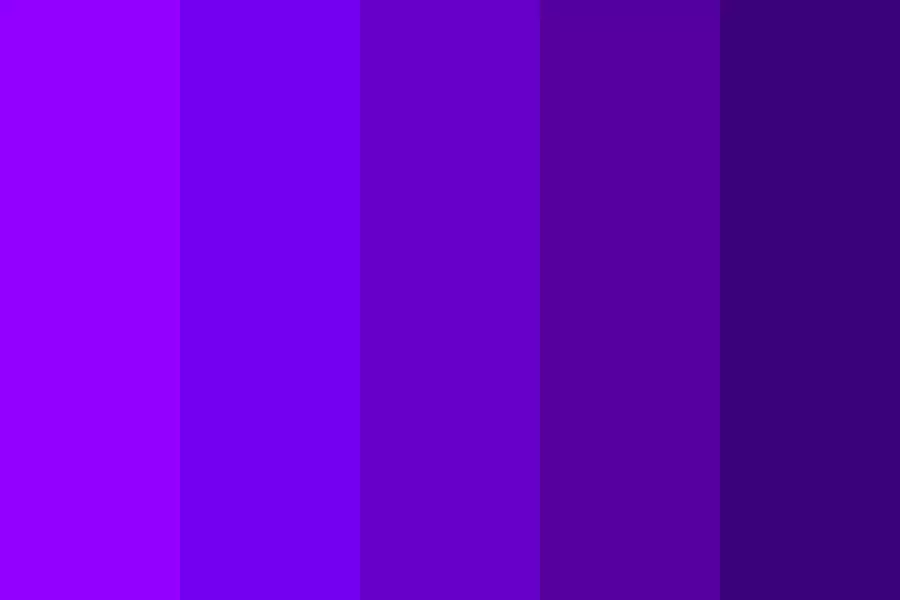 紫色的头发（84张照片）：丁香和其他色调，棕色紫色，蓝紫色等颜色的金色股 5343_25
