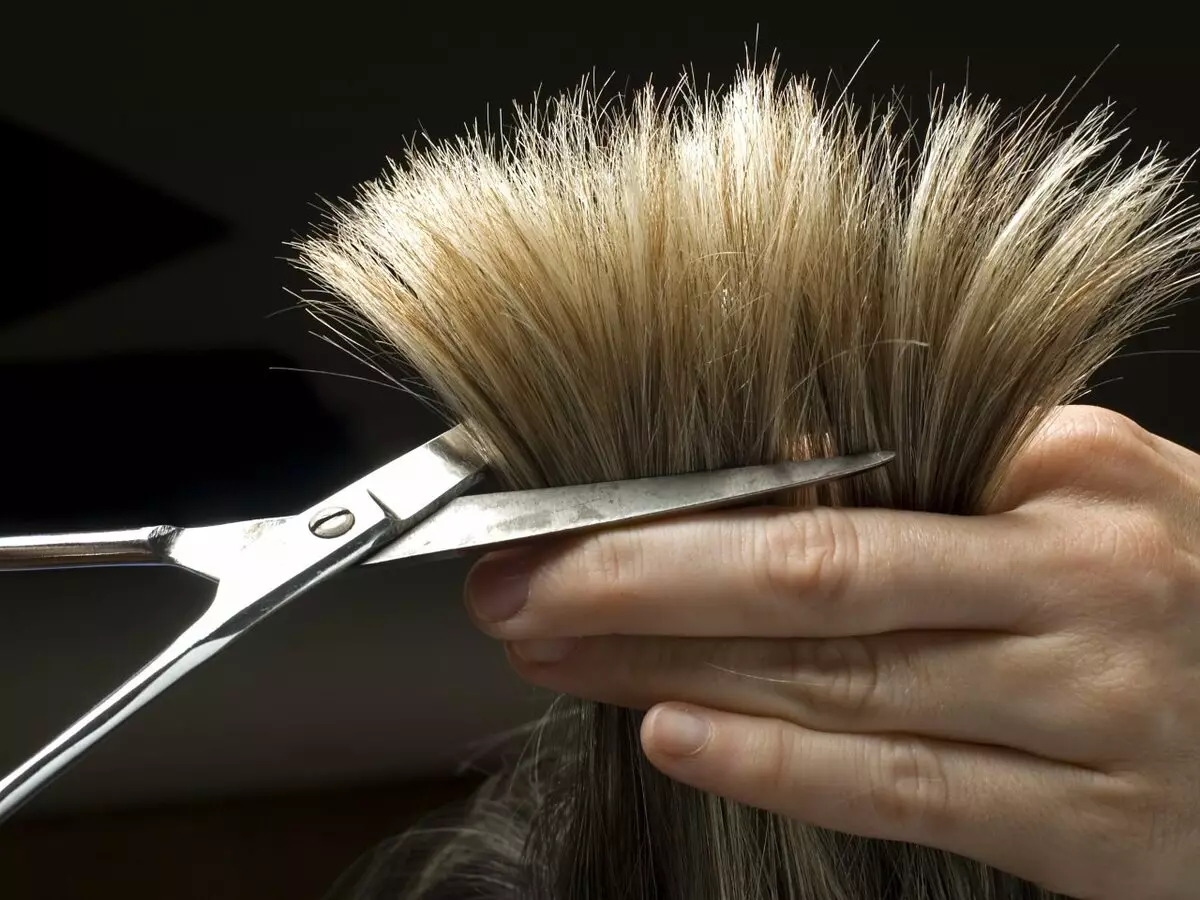 Lydymosi dažai: kas yra geriausias dažų, kad plaukai būtų namuose? Profesionalūs dažai Loreal. 5372_36