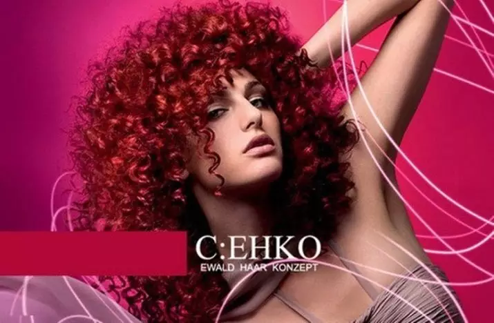 Χρώμα μαλλιών C: Ehko (32 φωτογραφίες): παλέτα λουλουδιών και αποχρώσεων των γερμανικών χρωμάτων, των πλεονεκτημάτων και των μειονεκτημάτων, της λεπτότητας της επιλογής και της χρήσης 5404_4