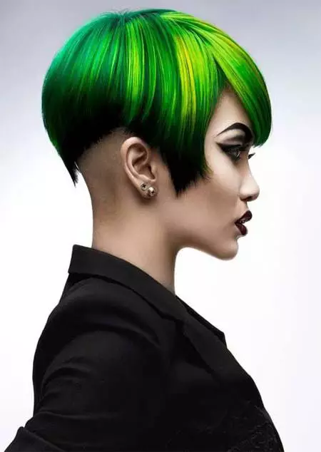 Zelena barva las: Izbira obstojnih barv z zelenim pigmentom. Kako prinesti zeleno barvo s temnimi in lahkimi lasmi? 5469_29