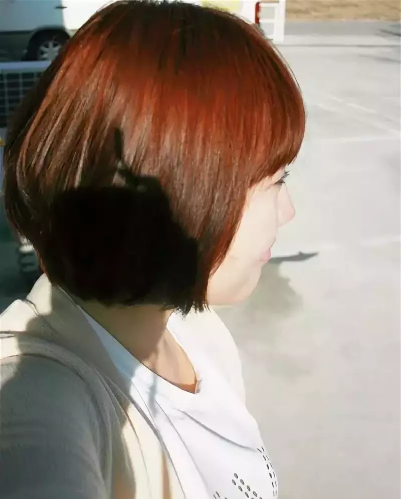 Bojëra e flokëve Korean: Karakteristikat e ngjyrave intensive pa amoniak nga Koreja, përshkrimi i bojës Bosnic dhe të tjerët, Shqyrtime 5470_12