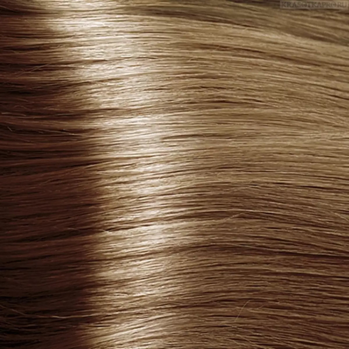 Студио коса боја (29 фотографии): палета бои на бои Есем коса и професионални, инструкции за примена на професионални бои, осврти 5477_3