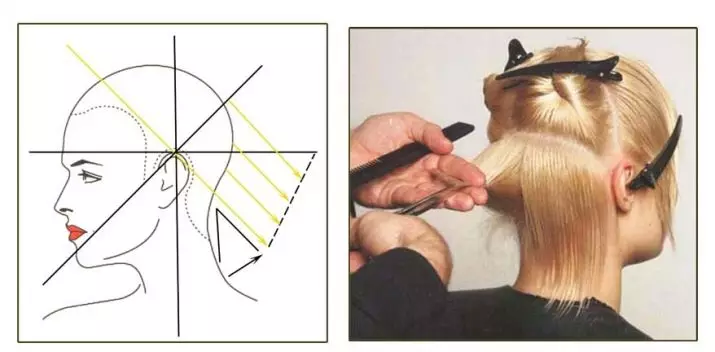 Tagli di capelli graduati (51 foto): opzioni per capelli lunghi e corti. Qual è una laurea? Tipi di tagli di capelli e tecnologia di esecuzione delle donne 5743_20