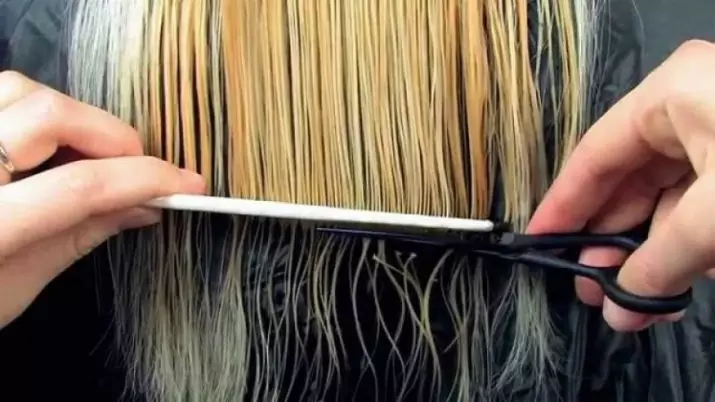 Quanto spesso hai bisogno di tagliare i capelli? Quando tagliare i capelli in modo che crescano più velocemente? Suggerimenti di professionisti 5774_16