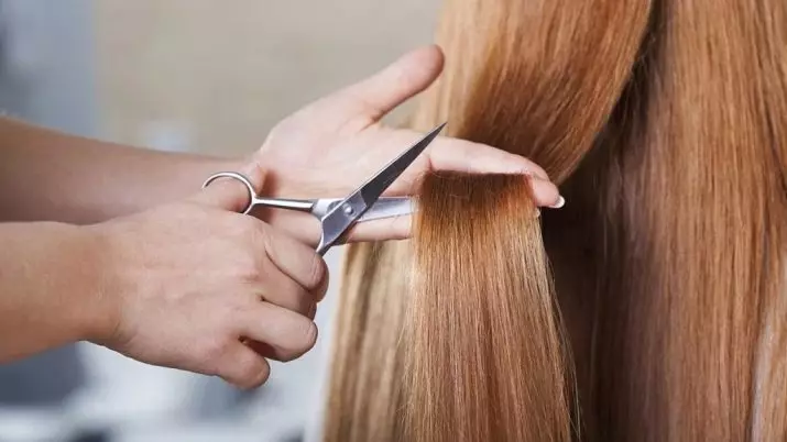 તમારે તમારા વાળ કાપવાની કેટલીવાર જરૂર છે? જ્યારે વાળ કાપવું જેથી તેઓ ઝડપથી વધશે? પ્રોફેશનલ્સની ટીપ્સ 5774_22