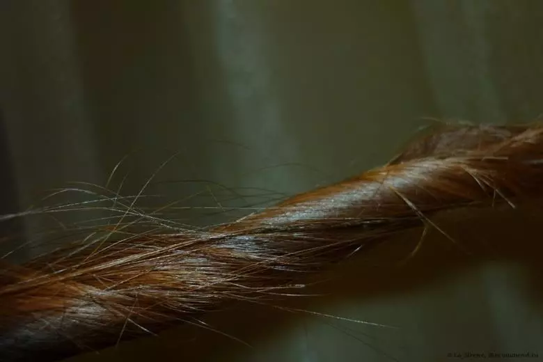 Saç İpuçları Nasıl Kesilir? 40 Fotoğraf Bağımsız olarak köknar Nasıl saçlar evde biter ve onları ne sıklıkta kesmek zorundalar? 5776_33